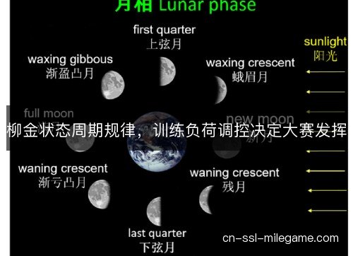 柳金状态周期规律，训练负荷调控决定大赛发挥